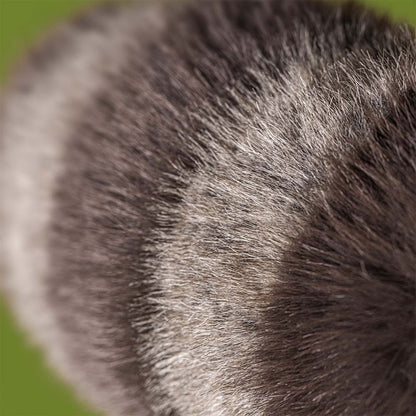 Jellycat Trixiwoo Raccoon (0+)