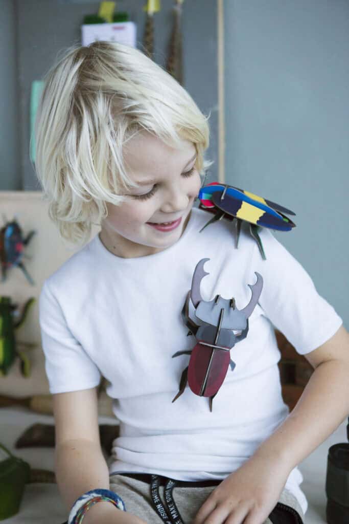Studio Roof 3D Stag Beetle (Small)