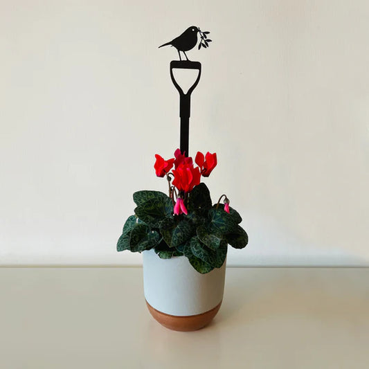 Pot Stem - Robin On Fork With Mistletoe