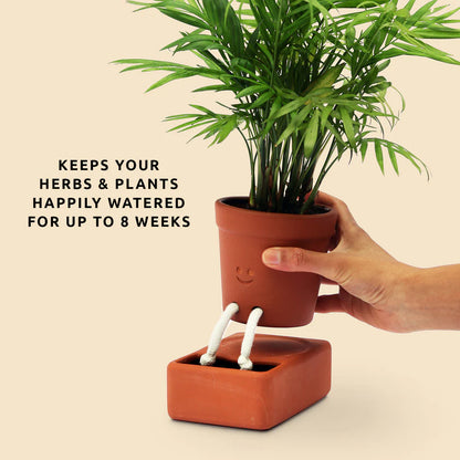 Pikkii Self-Care Planter