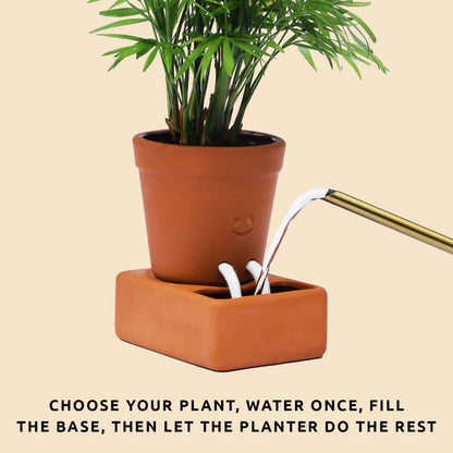 Pikkii Self-Care Planter