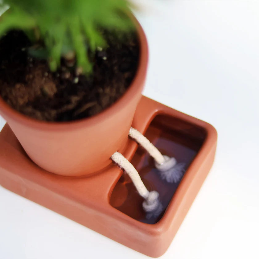 Pikkii Self-Care Planter