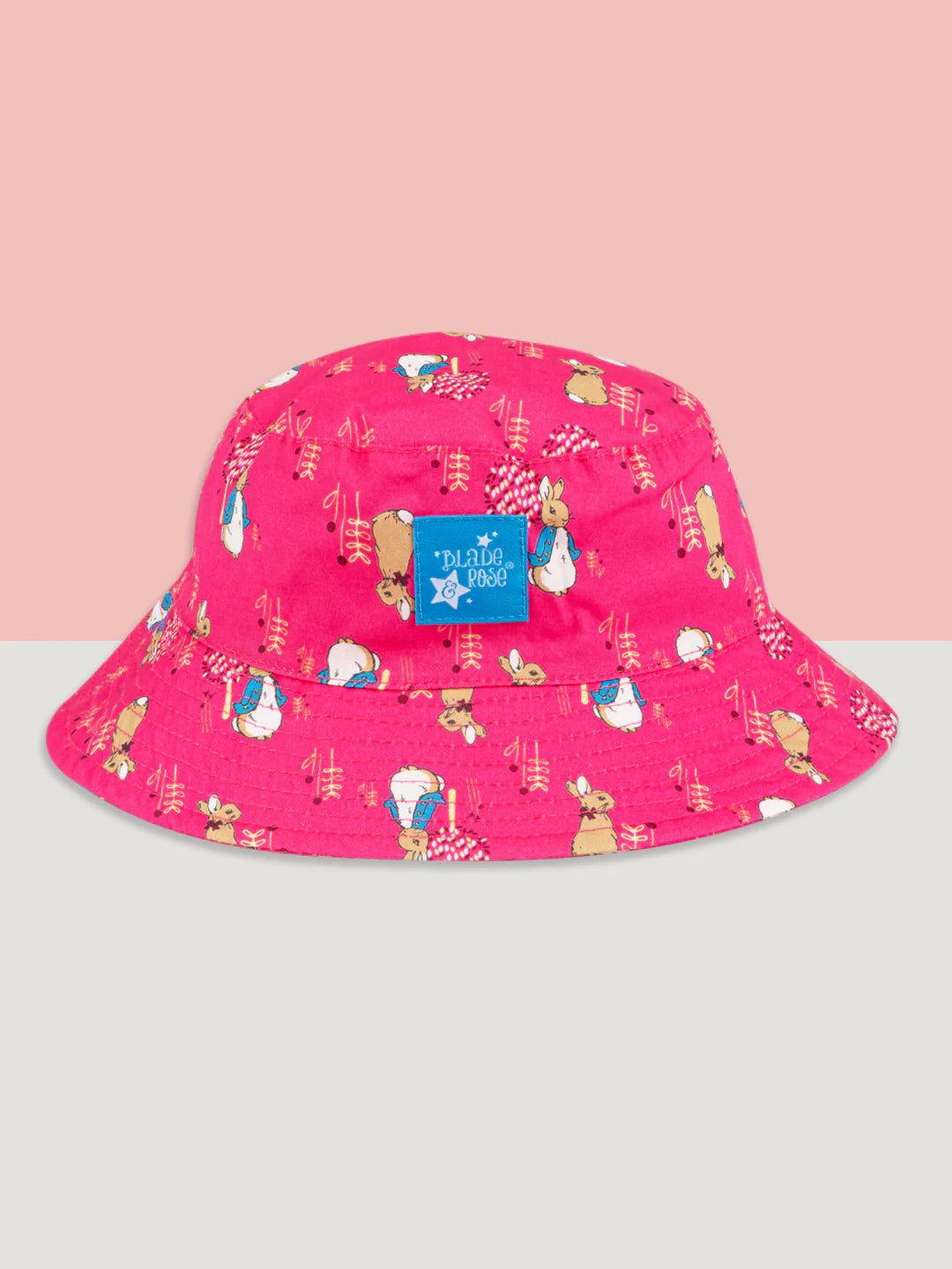 Peter Rabbit Springtime Summer Hat