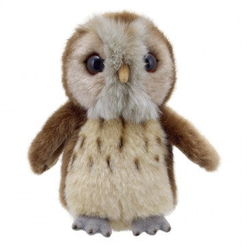 Wilberry Mini Tawny Owl (1+)