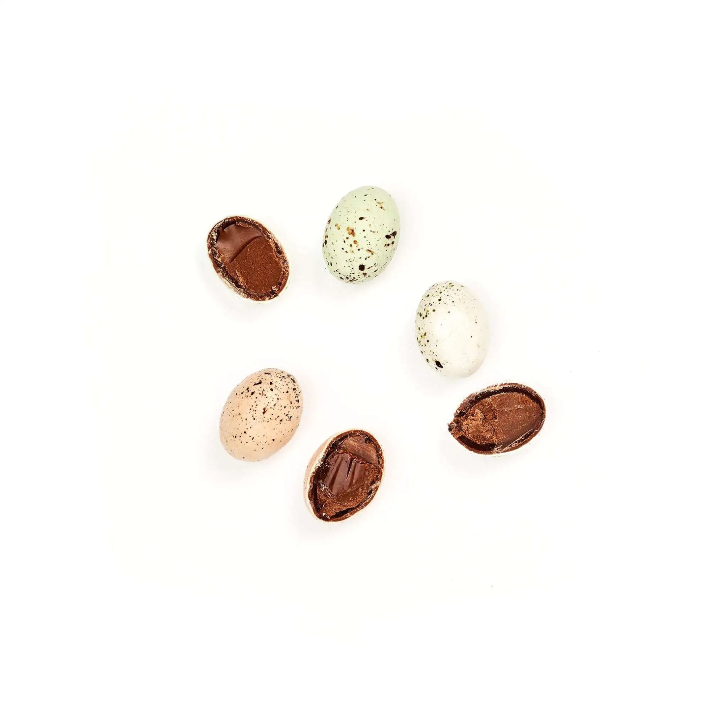 12 Rainbow Lovebird Eggs (Chocolate Praline)