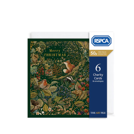 Charity Christmas Card 6pk Secret Garden