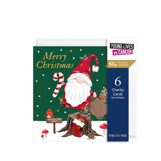 Charity Christmas Card 6pk Gonk