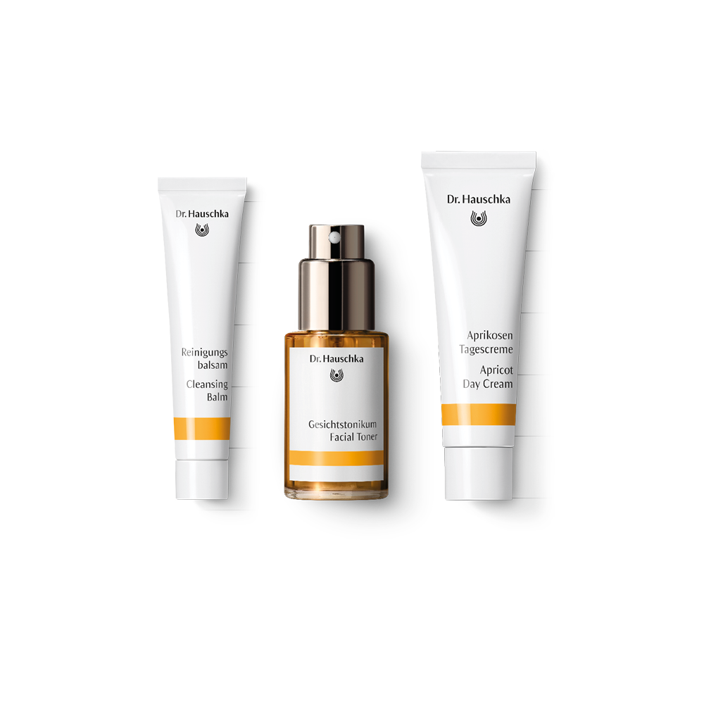 Dr Hauschka Brightening Skincare Concept Gift Set