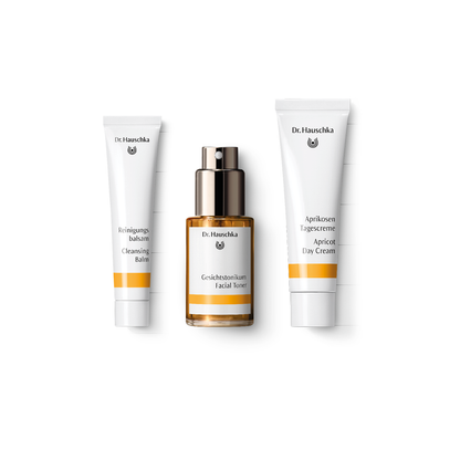 Dr Hauschka Brightening Skincare Concept Gift Set