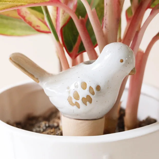 Ceramic Bird Plant Waterer