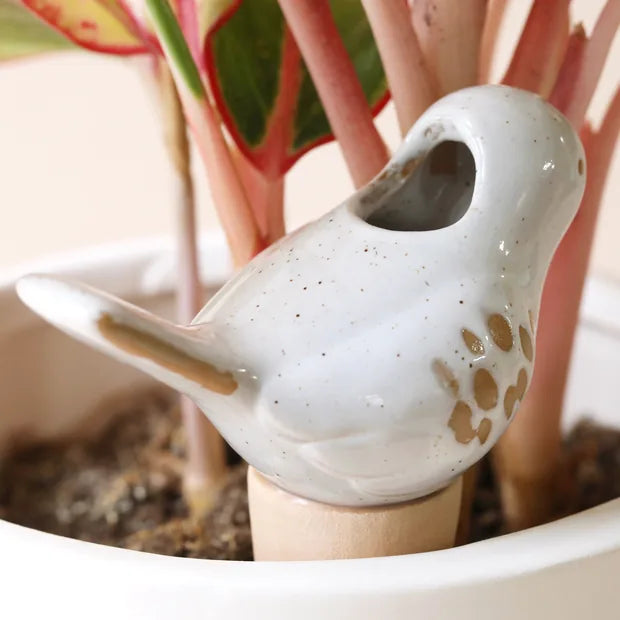 Ceramic Bird Plant Waterer