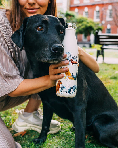 Chillys 500ml Water Bottle Emma Bridgewater Dogs