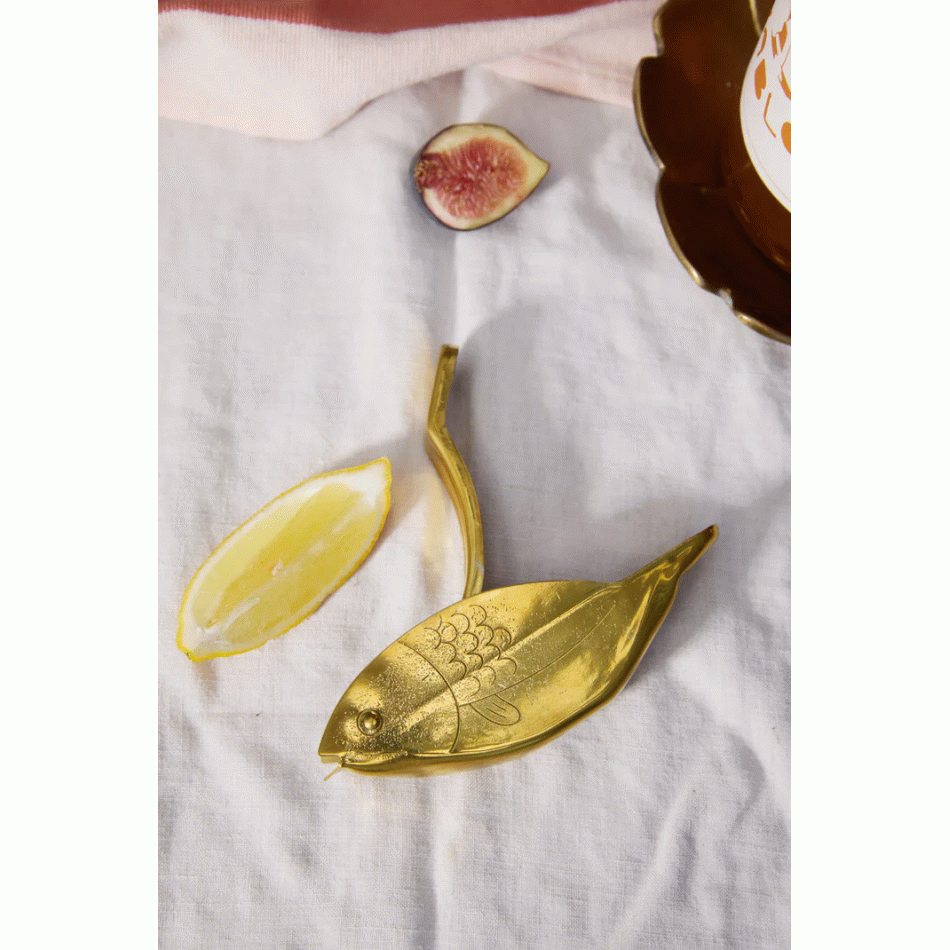The Stevie Fish Citrus Juicer