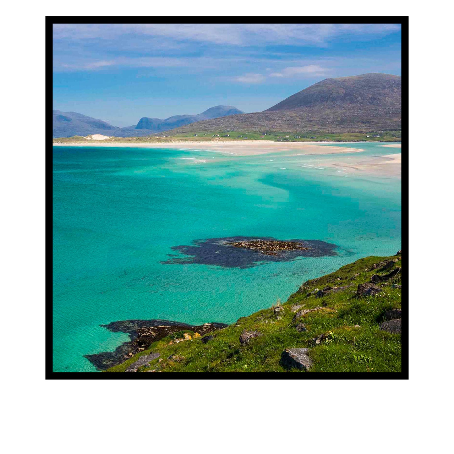 Blank Photo Card Harris by Daniel Dabrowski