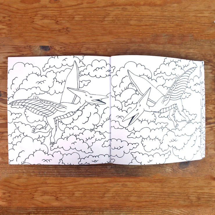 Dinosaur Colouring Book