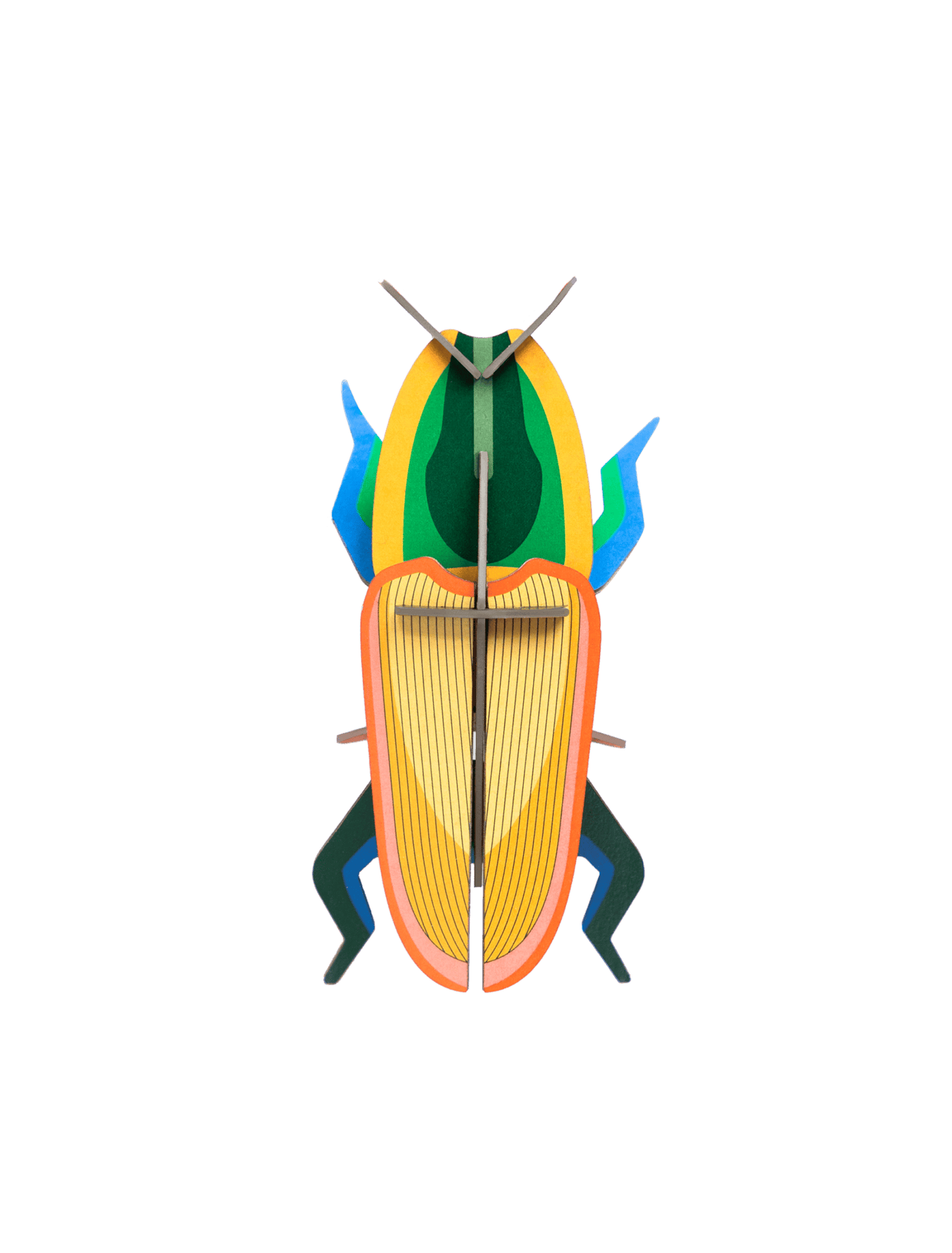 Studio Roof 3D Madagascar Beetle (Small)