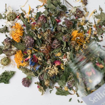 Seilich Herbal Tea - Meadow Blend