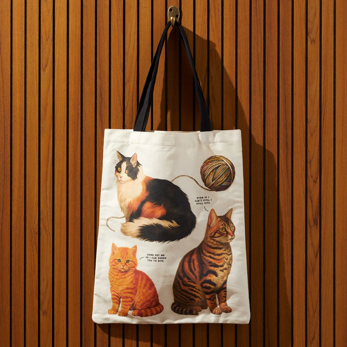 Canvas Tote Bag - Moody Cats