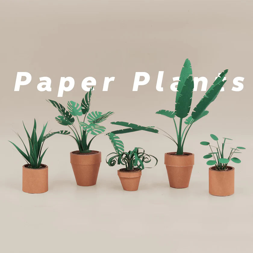 Paper Plants