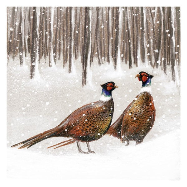 Christmas Card 6pk - Pheasants In Snow