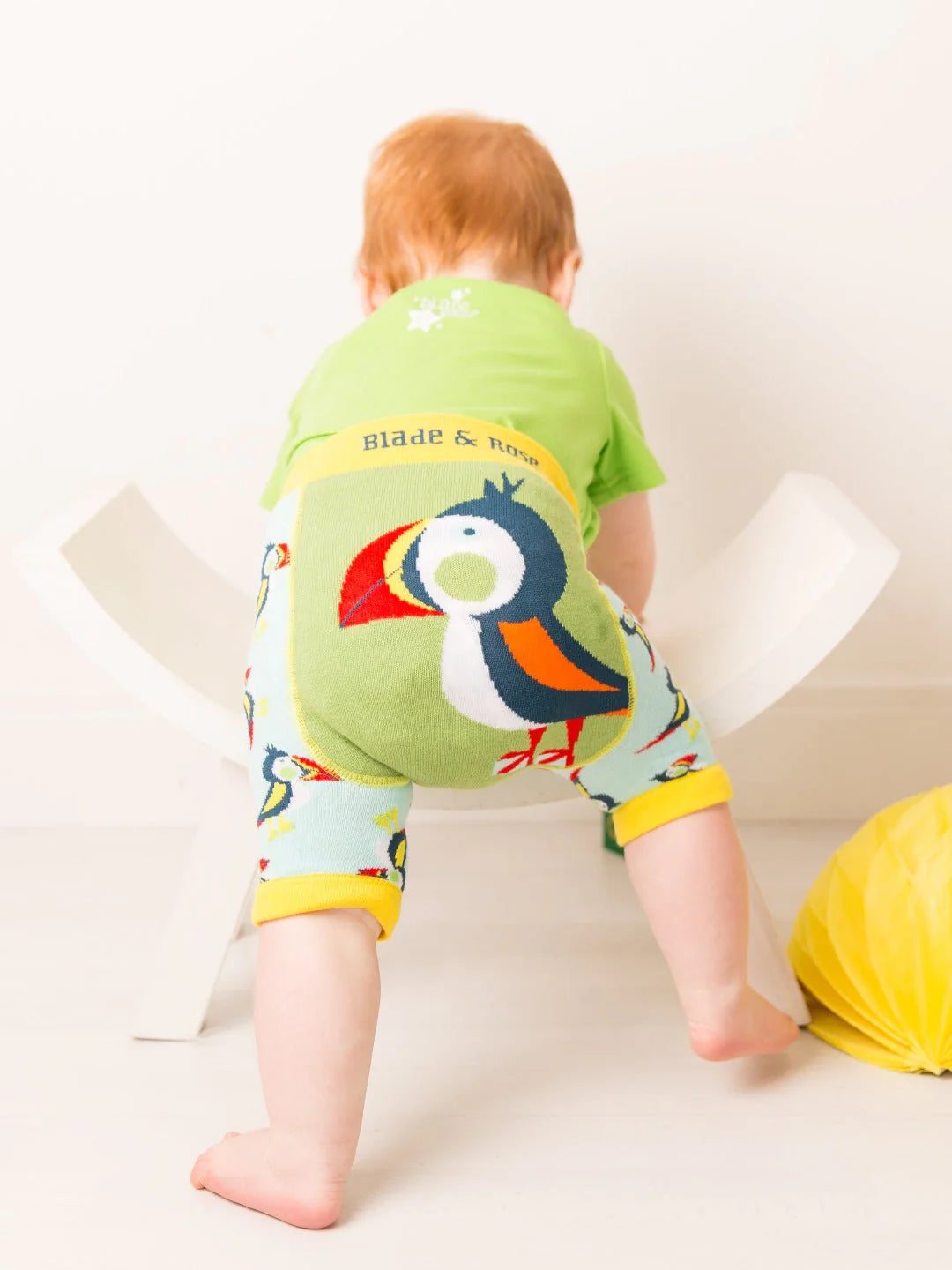 Finley The Puffin Shorts