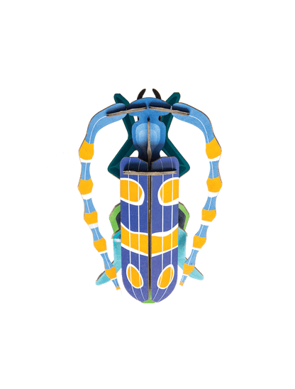 Studio Roof 3D Model Kit - Rosalia Beetle