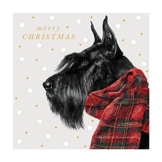 Christmas Card 6pk - Scotty Dog