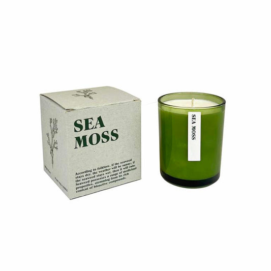 Large Botanical Candle - Sea Moss