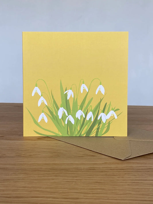 Blank Card Snowdrop