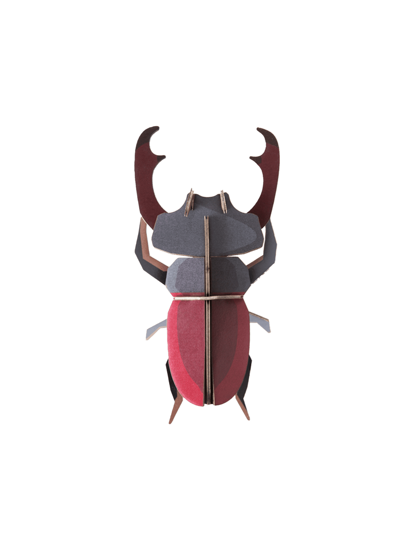 Studio Roof 3D Stag Beetle (Small)