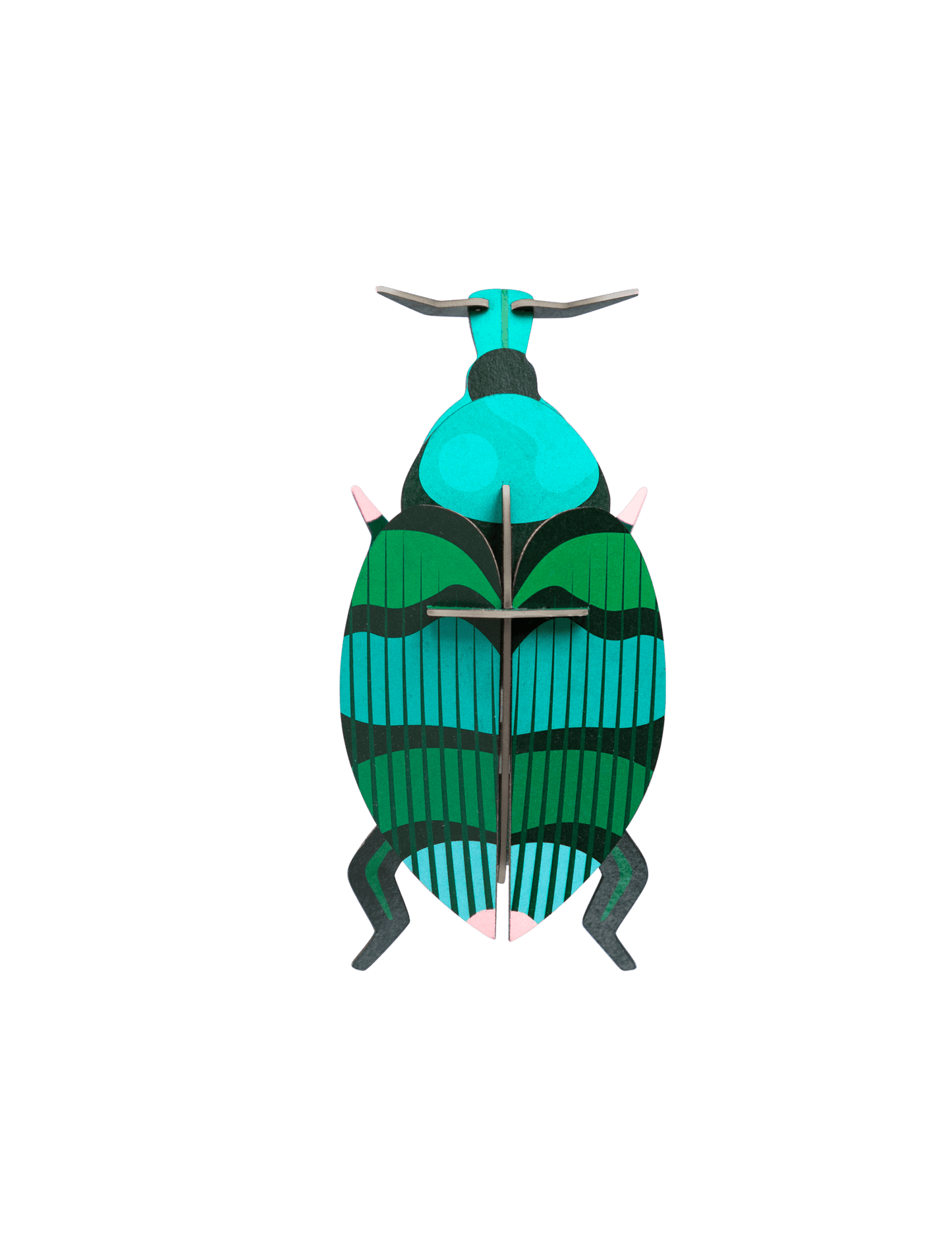 Studio Roof 3D Model Kit - Weevil Beetle