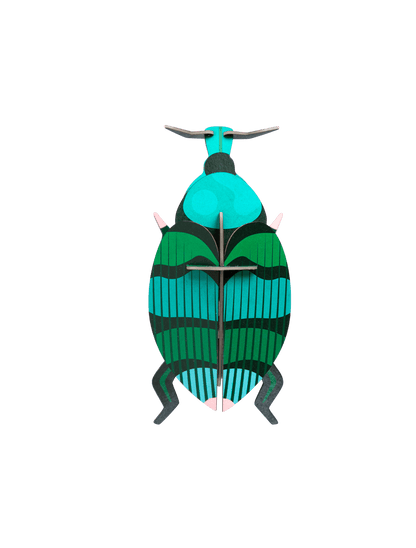 Studio Roof 3D Model Kit - Weevil Beetle