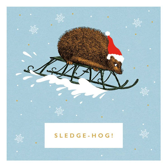 Charity Christmas Card 8pk Sledge-Hog Rock