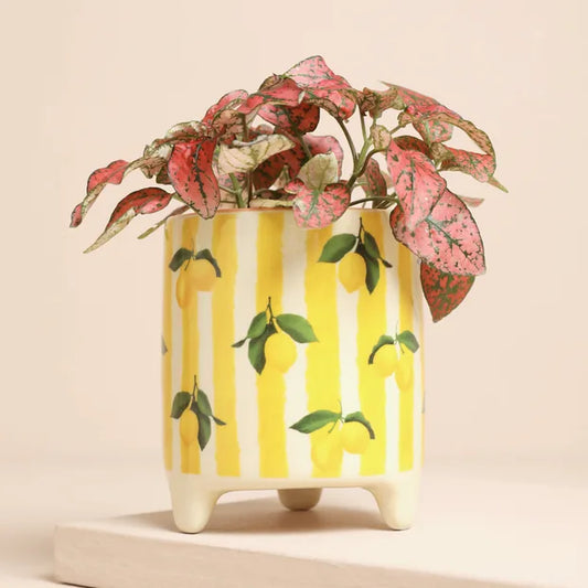 Yellow Striped Lemons Ceramic Planter