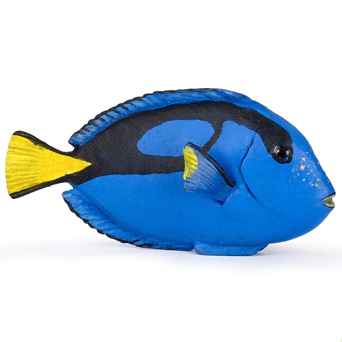 Papo Surgeonfish