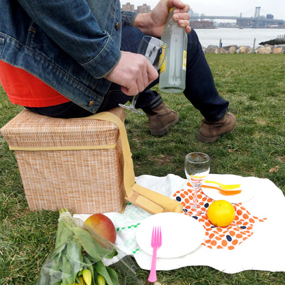 Wicker Picnic Cooler Seat