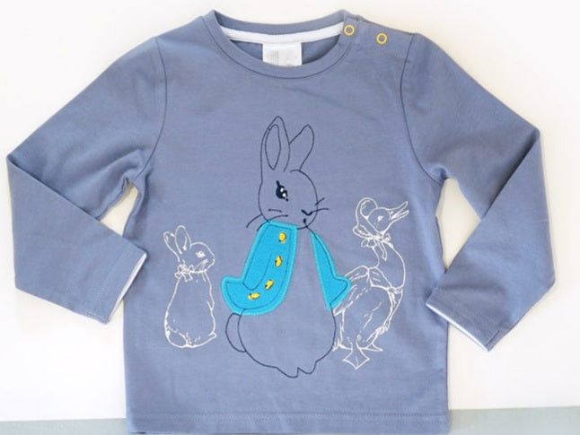 Peter Rabbit Modern Mix Top