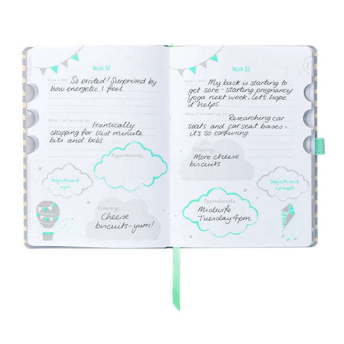 BusyB Pregnancy Journal